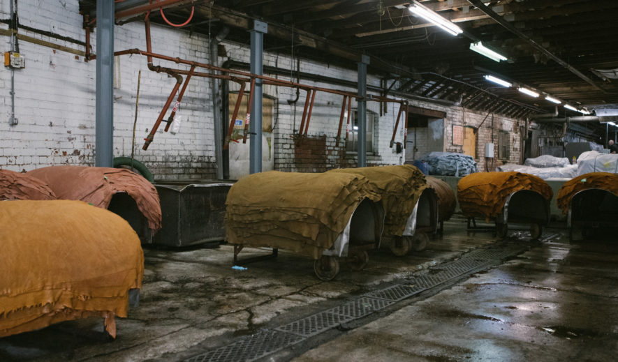 charles f stead adidas